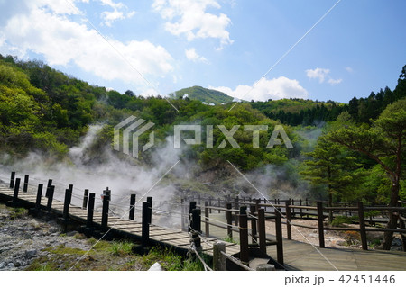 筋湯温泉　小松地獄　大分県 42451446