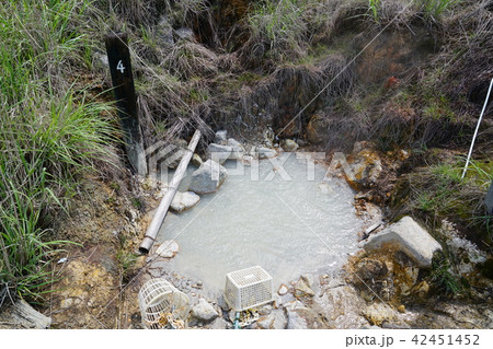 筋湯温泉　小松地獄　大分県 42451452