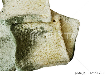 moldy on bread on white background moldy on bread on white background 42451702