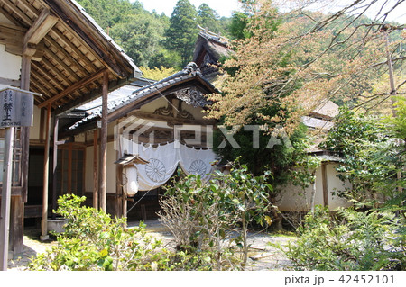 常照皇寺・書院 常照皇寺・書院 42452101