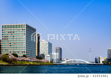 《東京都》　都市風景・隅田川クルージング　 42453461