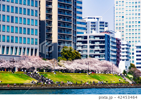 《東京都》 都市風景・隅田川クルージング  《東京都》 都市風景・隅田川クルージング  42453464