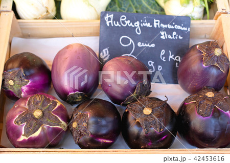 Aubergine 42453616
