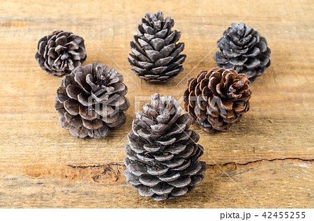 Brown pine and cedar cones on wooden background 42455255