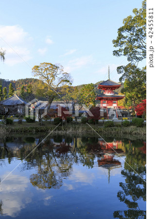 京都・秋の大覚寺・心経宝塔 京都・秋の大覚寺・心経宝塔 42455811
