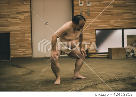 Sumo wrestling Sumo wrestling 42455815