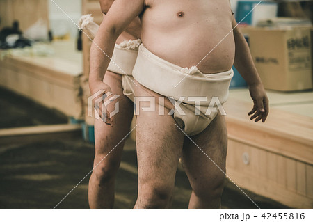 Sumo wrestling Sumo wrestling 42455816