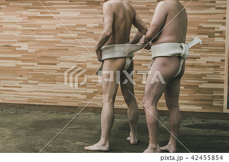 Sumo wrestling Sumo wrestling 42455854