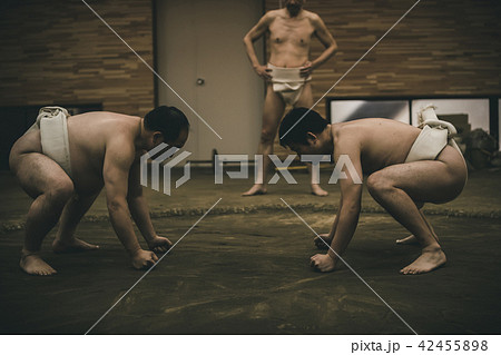 Sumo wrestling Sumo wrestling 42455898