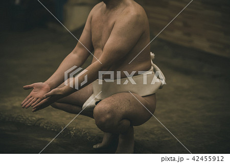 Sumo wrestling Sumo wrestling 42455912