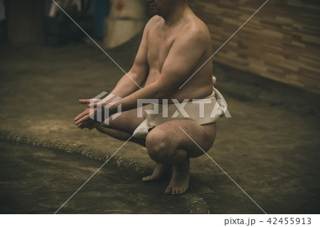 Sumo wrestling Sumo wrestling 42455913