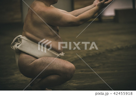 Sumo wrestling Sumo wrestling 42455918