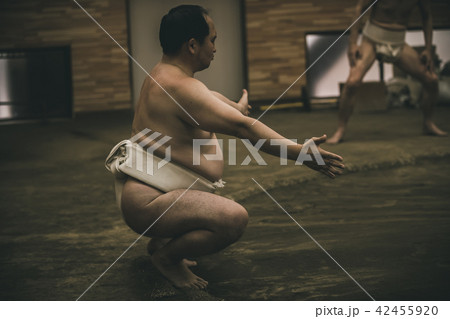Sumo wrestling Sumo wrestling 42455920