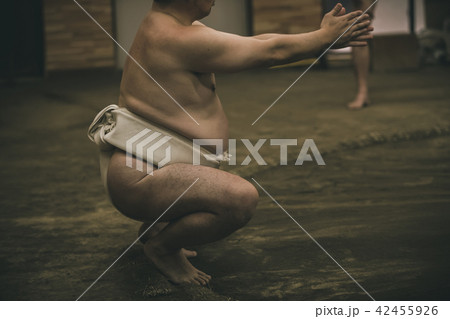 Sumo wrestling Sumo wrestling 42455926