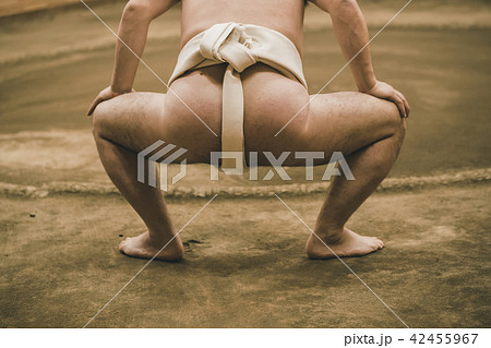 Sumo wrestling 42455967