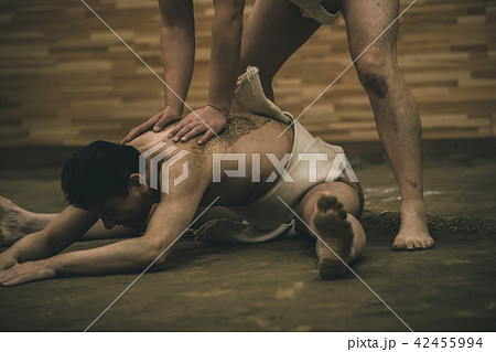 Sumo wrestling Sumo wrestling 42455994