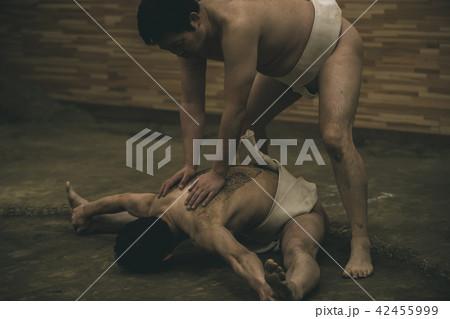 Sumo wrestling 42455999