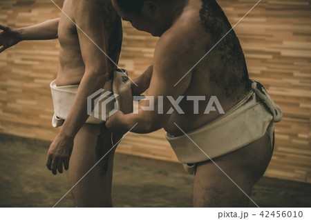 Sumo wrestling Sumo wrestling 42456010