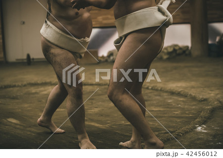 Sumo wrestling Sumo wrestling 42456012