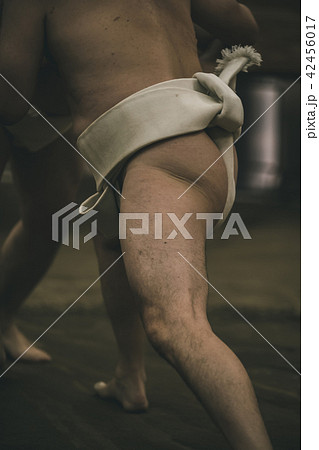 Sumo wrestling Sumo wrestling 42456017