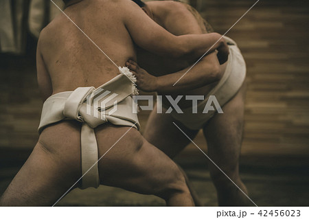 Sumo wrestling 42456023