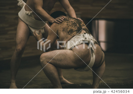Sumo wrestling 42456034