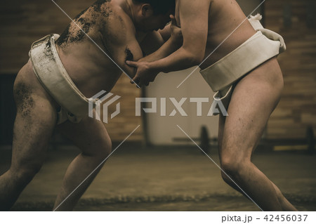 Sumo wrestling 42456037