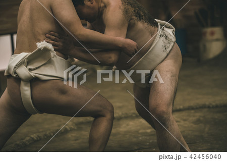 Sumo wrestling 42456040