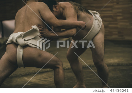 Sumo wrestling 42456041