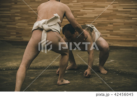 Sumo wrestling 42456045