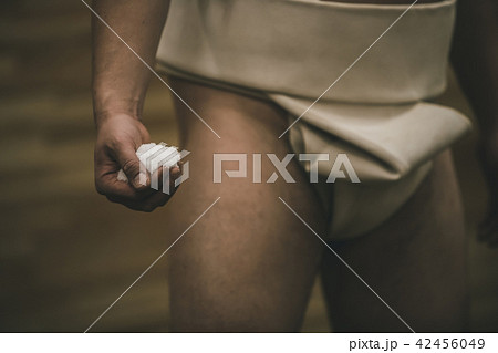Sumo wrestling 42456049