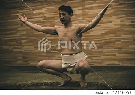 Sumo wrestling 42456053