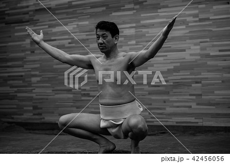 Sumo wrestling Sumo wrestling 42456056