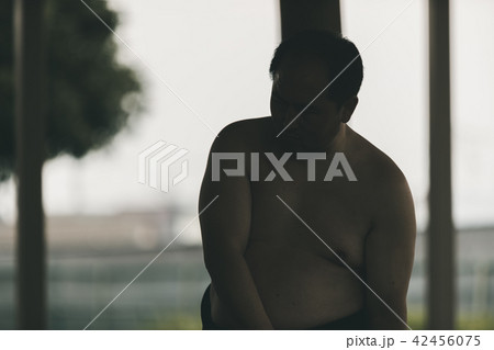 Sumo wrestling Sumo wrestling 42456075