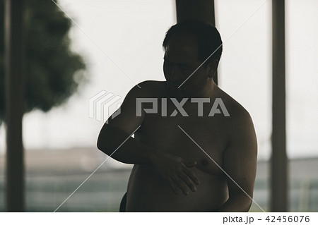 Sumo wrestling 42456076