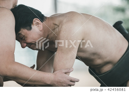 Sumo wrestling Sumo wrestling 42456081