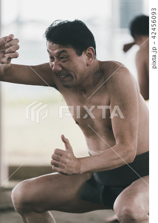 Sumo wrestling 42456093