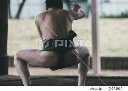 Sumo wrestling Sumo wrestling 42456094