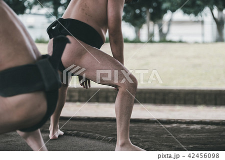 Sumo wrestling Sumo wrestling 42456098