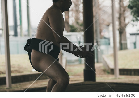 Sumo wrestling Sumo wrestling 42456100