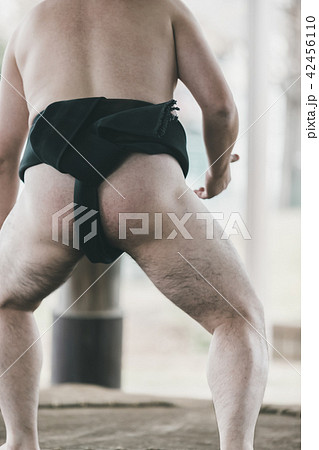 Sumo wrestling Sumo wrestling 42456110