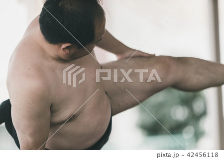 Sumo wrestling Sumo wrestling 42456118