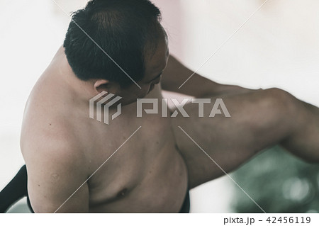 Sumo wrestling 42456119