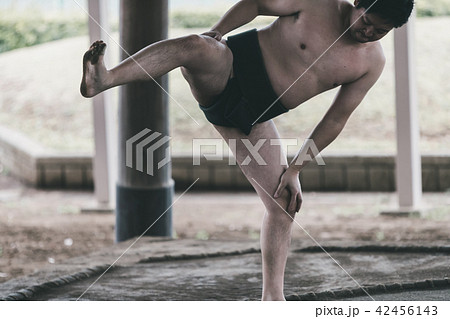Sumo wrestling 42456143