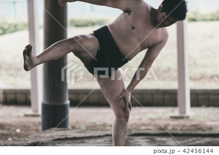 Sumo wrestling Sumo wrestling 42456144