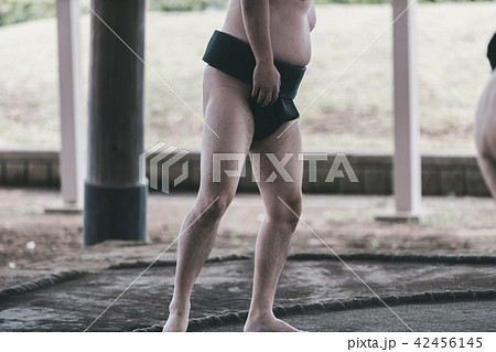 Sumo wrestling 42456145