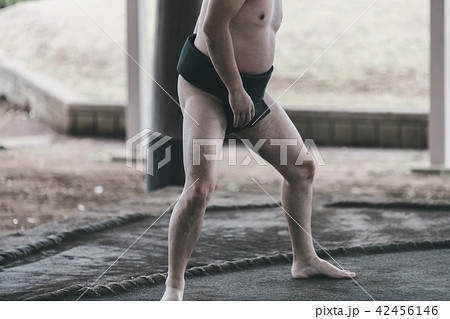 Sumo wrestling 42456146