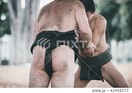 Sumo wrestling 42456277