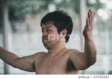 Sumo wrestling Sumo wrestling 42456281