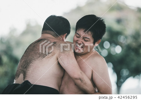 Sumo wrestling 42456295